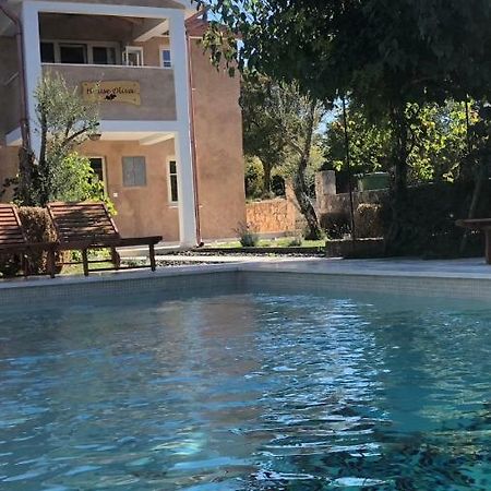 Wellness House Oliva With Heated Salt Water Pool, Sauna & Jakuzzi Лабин Экстерьер фото