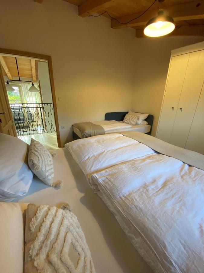 Wellness House Oliva With Heated Salt Water Pool, Sauna & Jakuzzi Лабин Экстерьер фото
