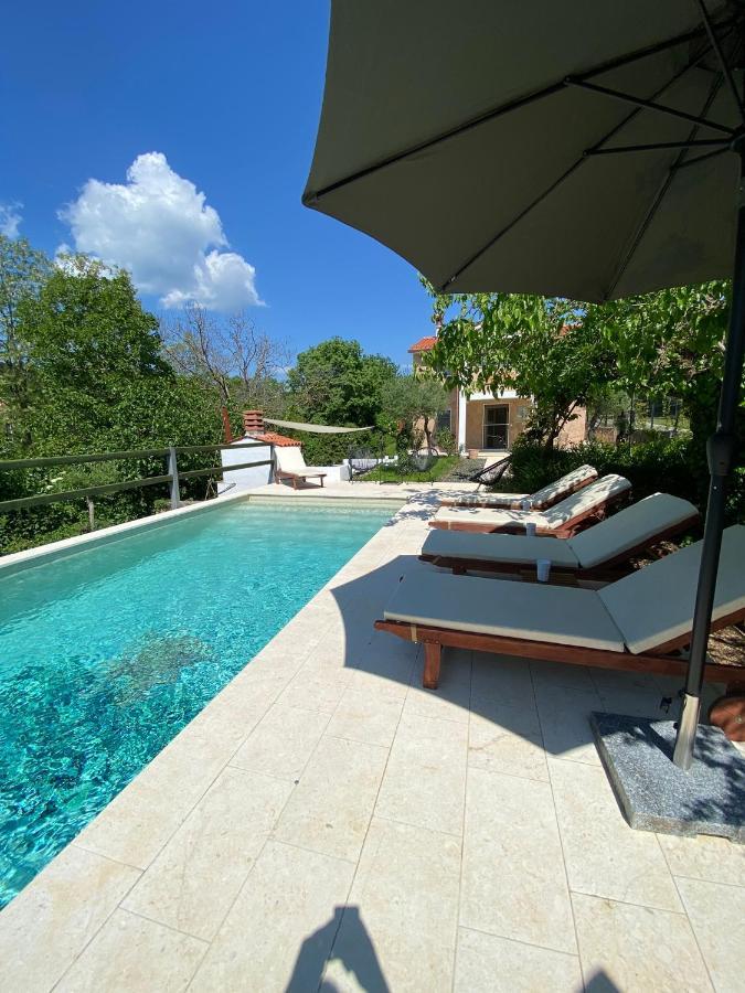Wellness House Oliva With Heated Salt Water Pool, Sauna & Jakuzzi Лабин Экстерьер фото